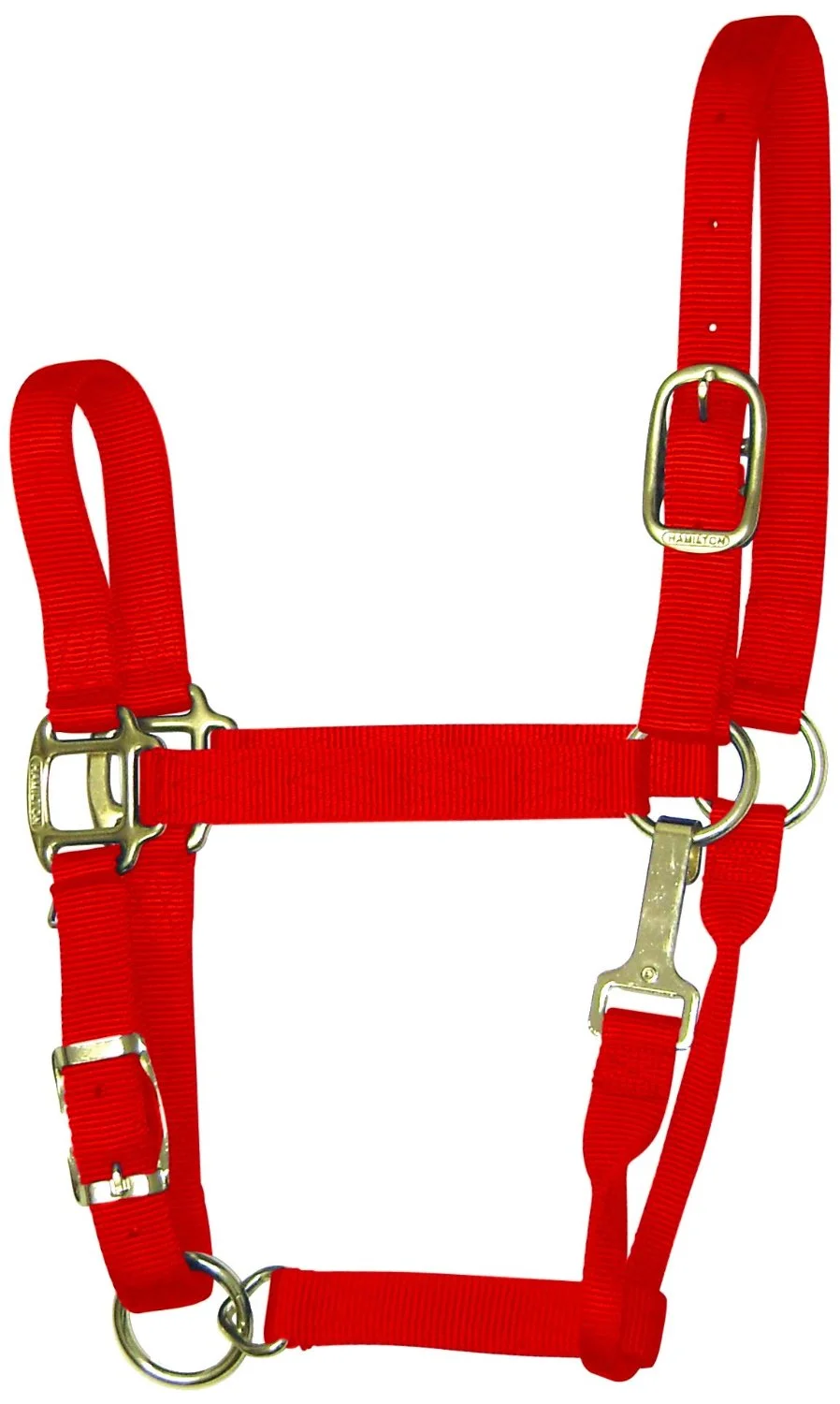 Hamilton 1QAS AVRD Nylon Halter For Horse Average