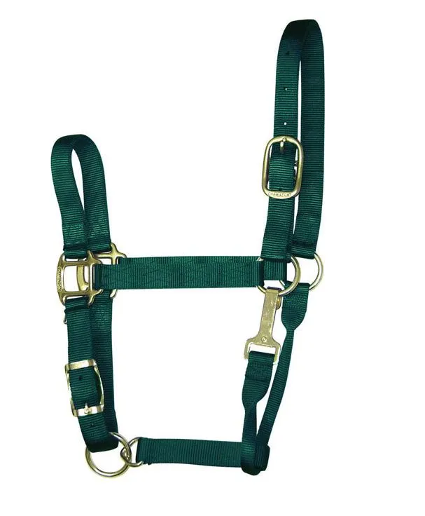 Hamilton 1QAS LGDG Green Nylon Halter For Horse Large