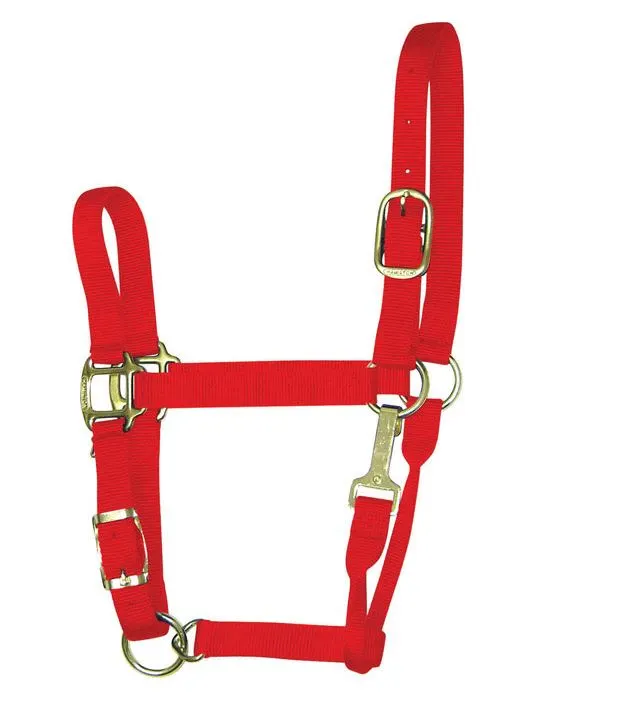 Hamilton 1QAS LGRD Red Nylon Halter For Horse Large