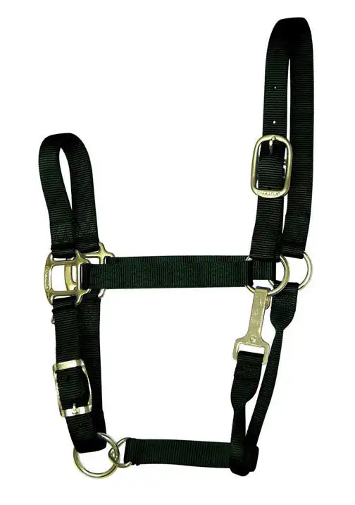 Hamilton 1QAS SMBK Black Nylon Halter For Horse Small