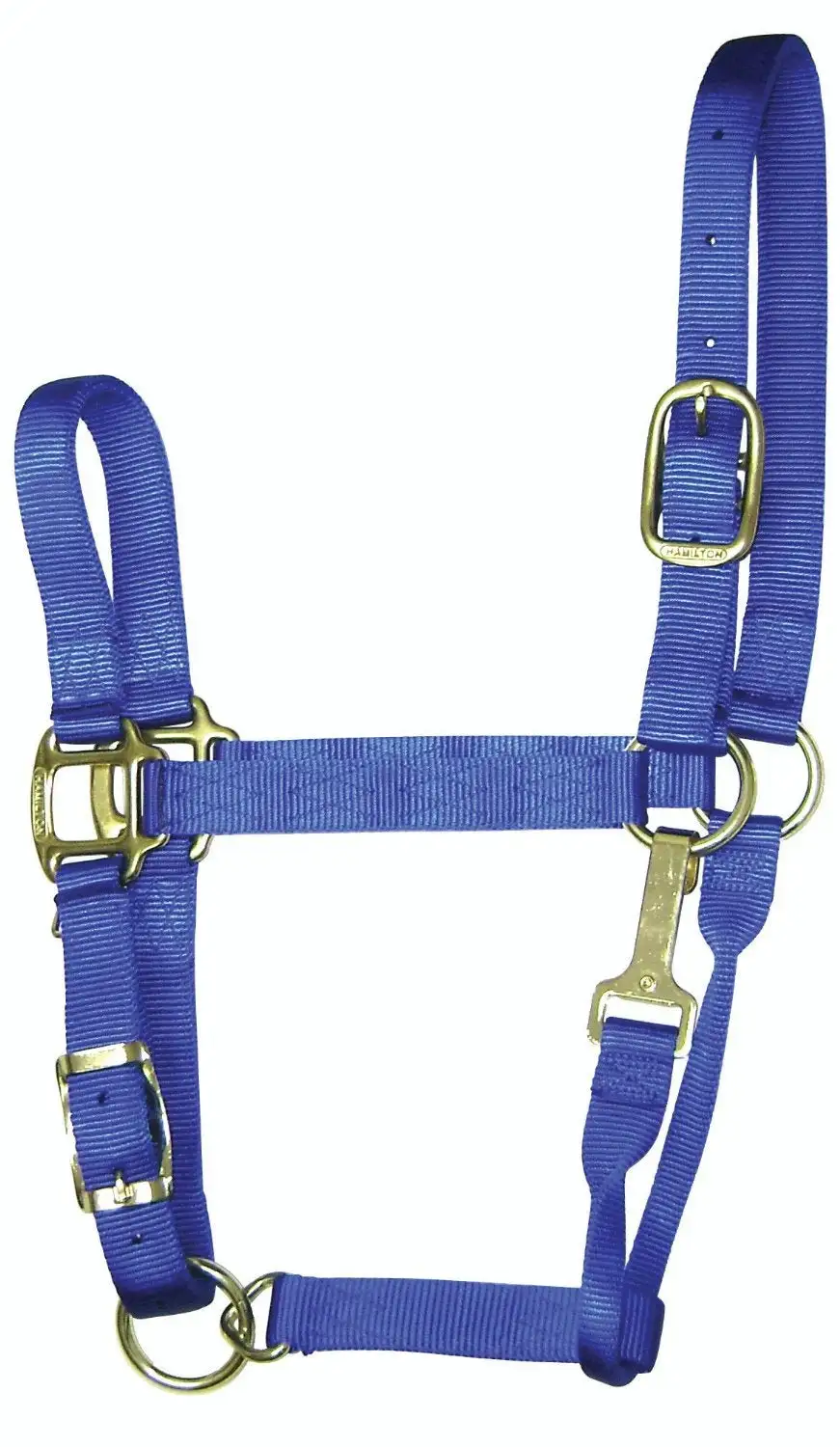 Hamilton 1QAS SMBL Blue Nylon Halter For Horse Small