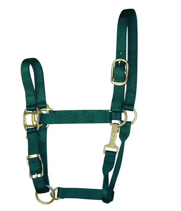 Hamilton 1QAS SMDG Dark Green Nylon Halter For Horse Small