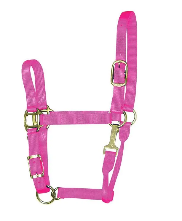 Hamilton 1QAS SMHP Hot Pink Nylon Halter For Horse Small