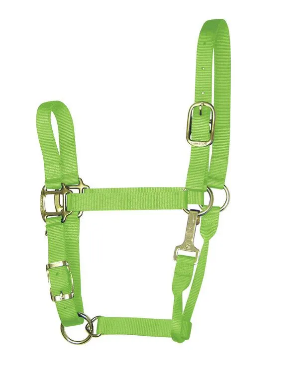 Hamilton 1QAS SMLI Lime Nylon Halter For Horse Small