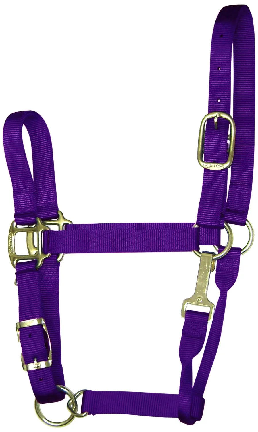 Hamilton 1QAS SMPU Nylon Halter For Horse Small