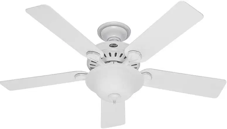 Hunter 53251/28722 Pro's Best Five Minute Fan