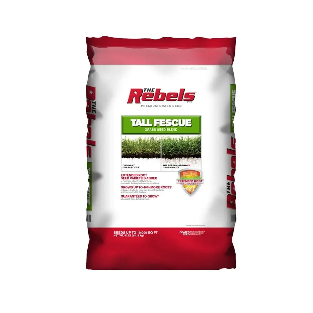 Pennington 100526884 Rebel Tall Fescue Grass Seed