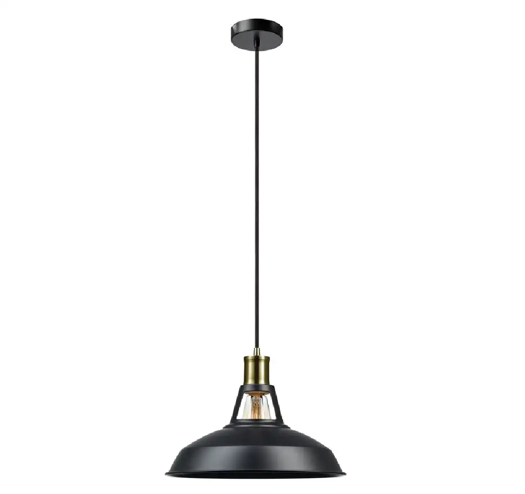 Globe Electric 60893 Robin Ceiling Light