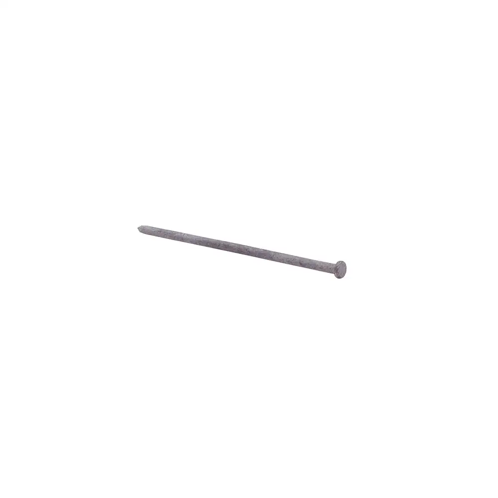 Grip-Rite 8HGSPK Hot-Dipped Galvanized Spike Nail