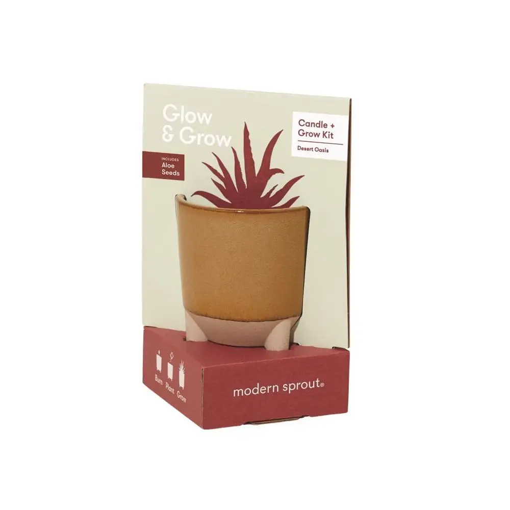 Modern Sprout MS-GBC-1010 Succulent Grow Kit