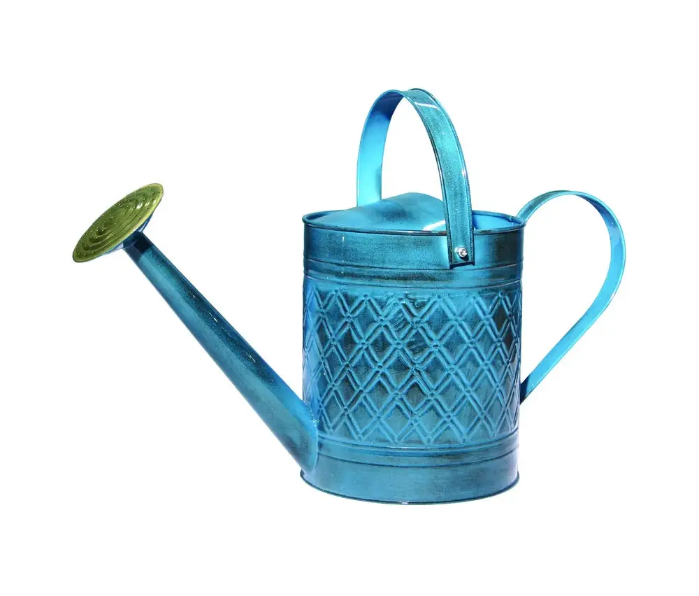 Robert Allen MPT01503 Wexley Watering Can