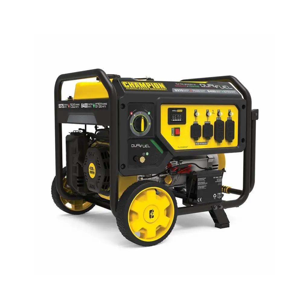 Champion 100891 Natural Gas or Propane Portable Generator