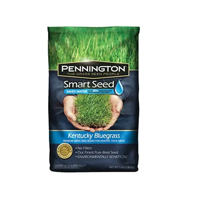 Pennington 100526631 Smart Seed Kentucky Bluegrass Seed