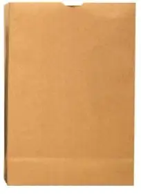 R3 18410 Grocery Paper Bag