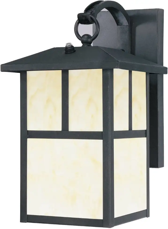 Westinghouse 6482948 1-Light Textured Wall Sconce