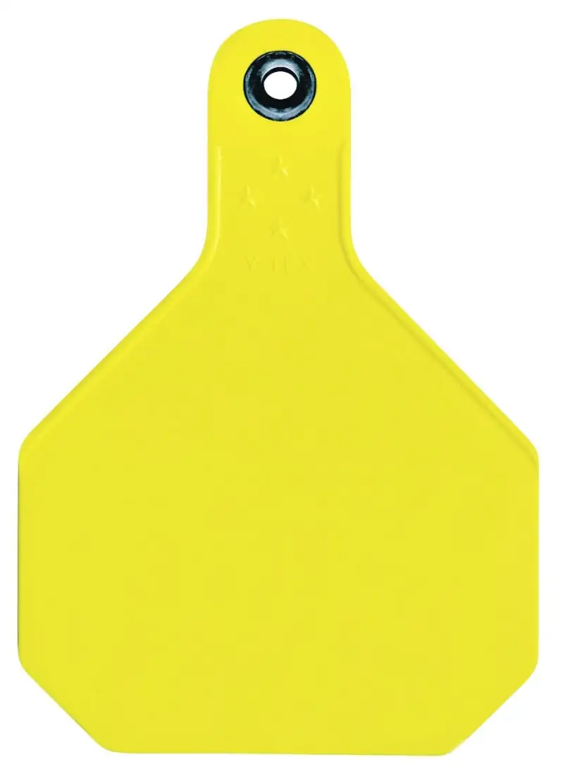Y-Tex 7913000 Large Plastic Blank Tag